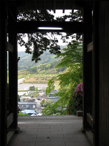 大興善寺参道36