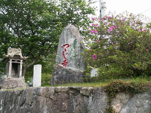 大興善寺参道21