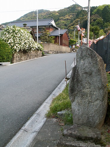 大興善寺参道35