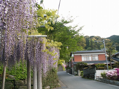 大興善寺参道23