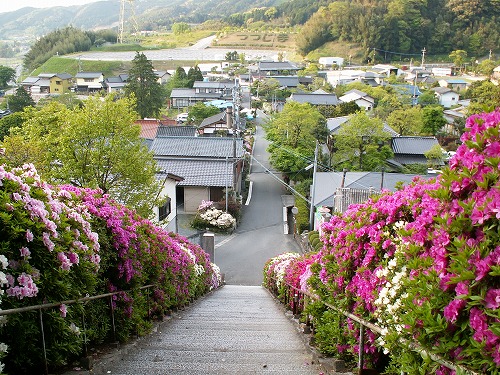 大興善寺参道26