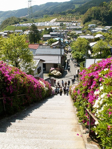 大興善寺参道29