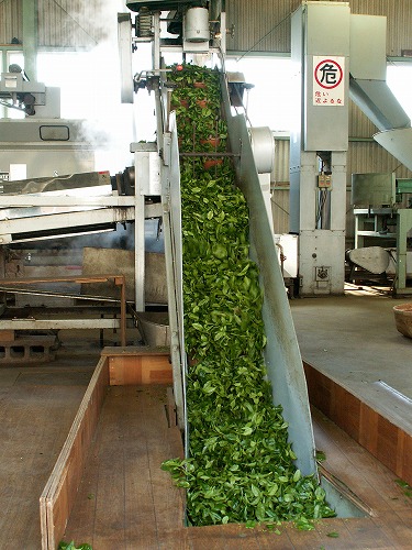 鶴製茶11