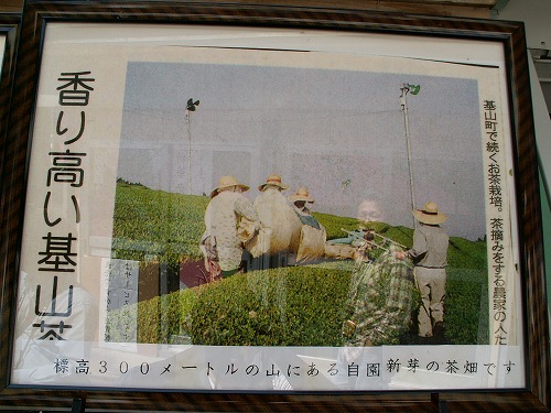 鶴製茶12