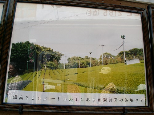 鶴製茶13