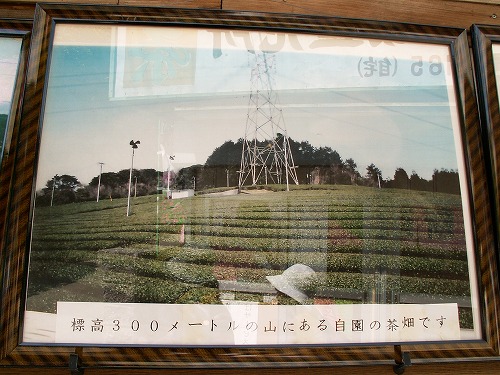 鶴製茶14