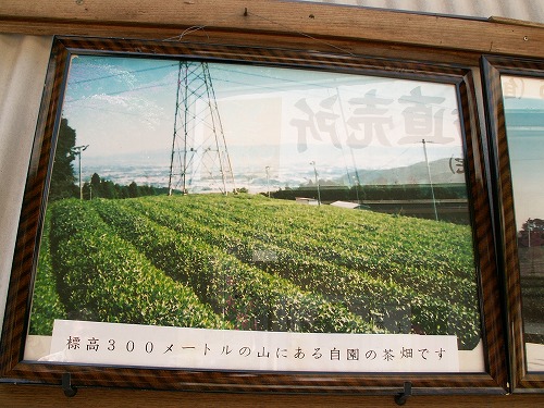 鶴製茶15
