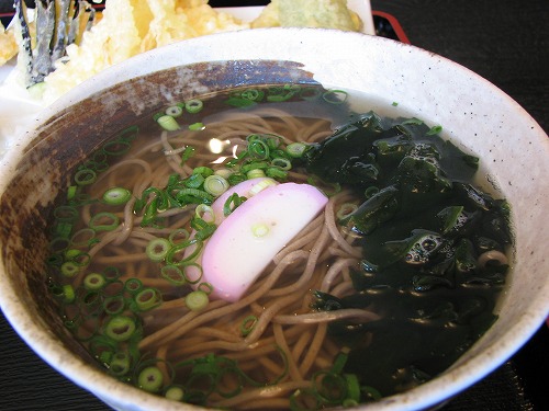 花吹木8