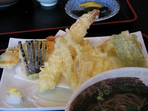 花吹木9