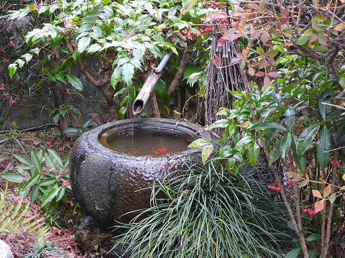 西渓公園6