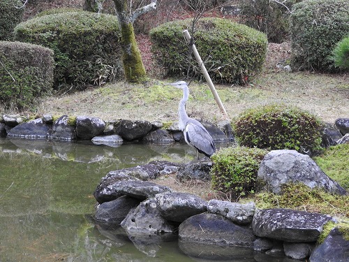 西渓公園9