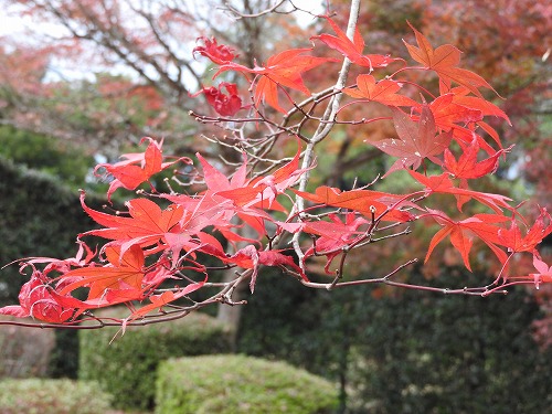 西渓公園13