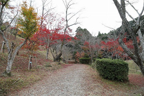 西渓公園2