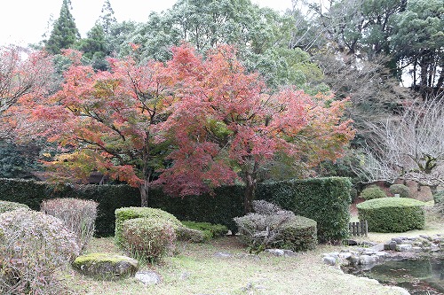 西渓公園1