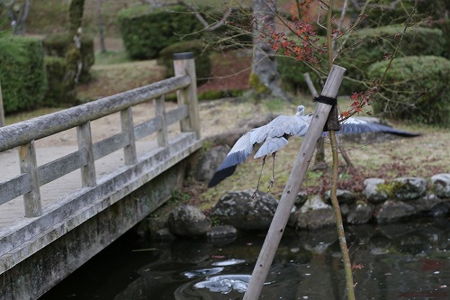 西渓公園4