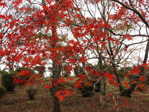 多久神社18