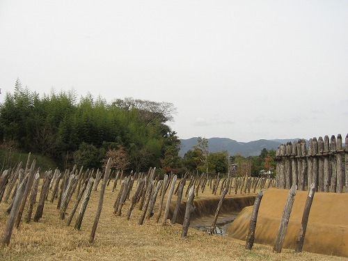 吉野ヶ里7