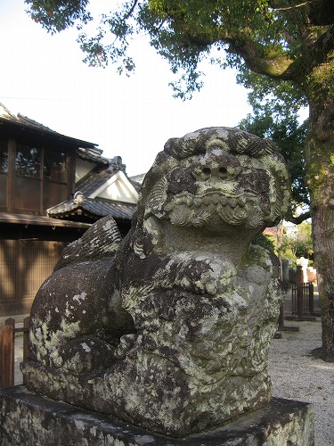 櫛田宮17