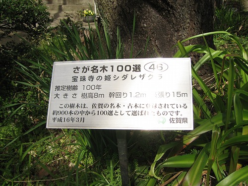 寶珠寺7