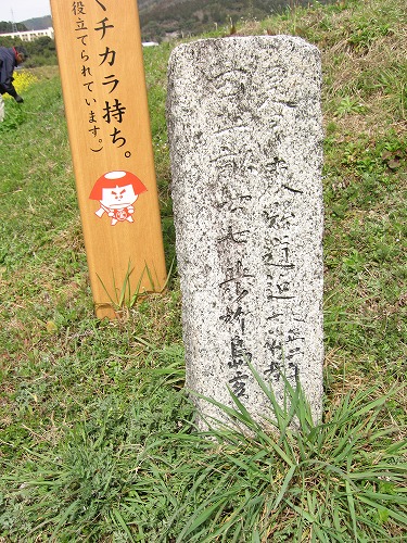 白角折22