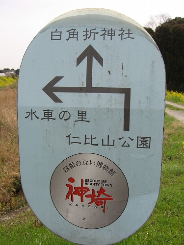 白角折6