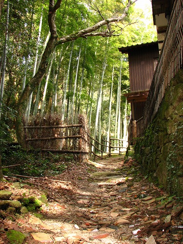 九年庵8