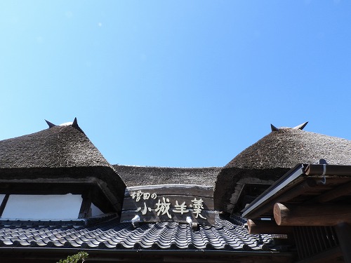 増田羊羹3