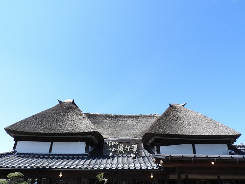 増田羊羹2