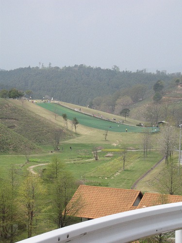 どんぐり村5