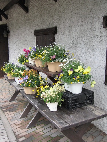 どんぐり村21