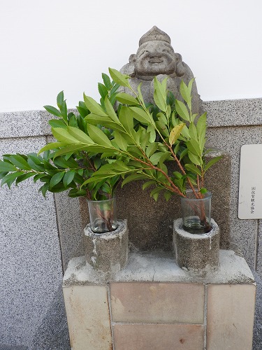 空見上げ恵比須7
