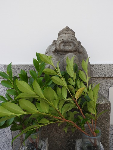 空見上げ恵比須6