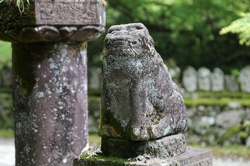 見瀧寺宝地院14