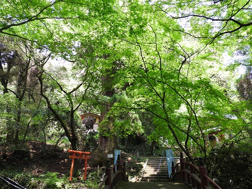 見瀧寺宝地院13