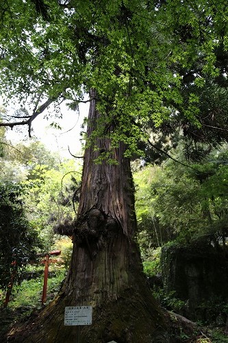 見瀧寺宝地院21