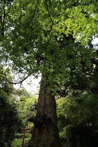 見瀧寺宝地院22