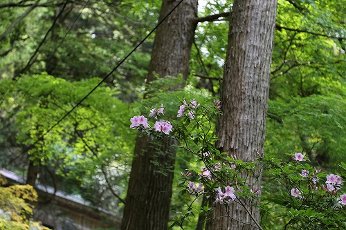 見瀧寺宝地院24