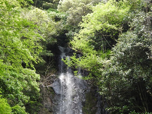 清水の滝16