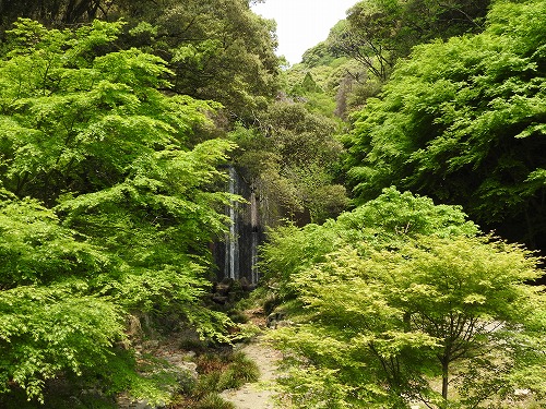 清水の滝21