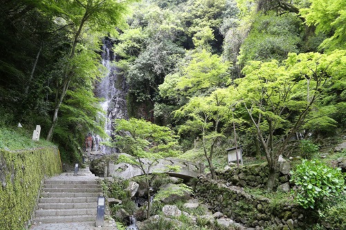 清水の滝6