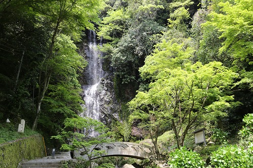 清水の滝7