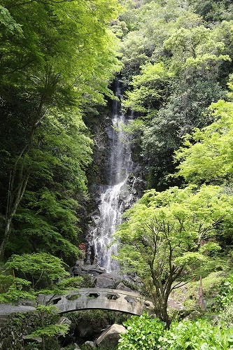 清水の滝13