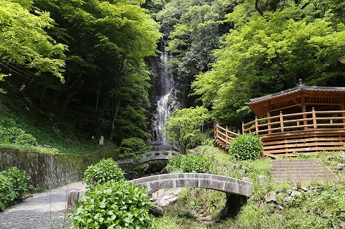 清水の滝8