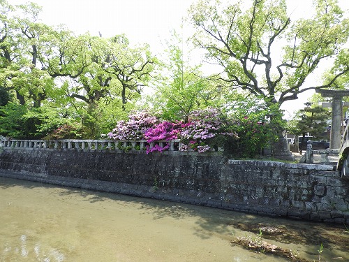 佐賀縣護國神社5