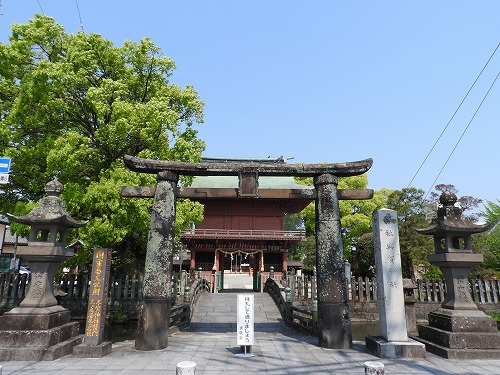 与賀神社の大楠1
