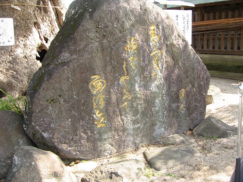 与賀神社の大楠10