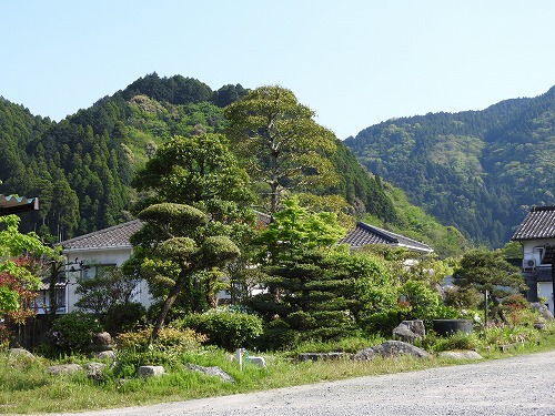 森別荘地跡2