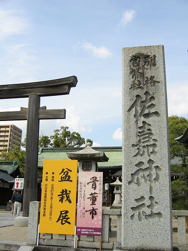 佐嘉神社12