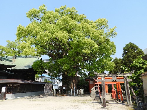 寶寿森稲荷神社15