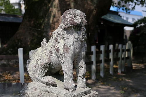 寶寿森稲荷神社8